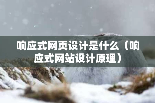 响应式网页设计是什么（响应式网站设计原理）