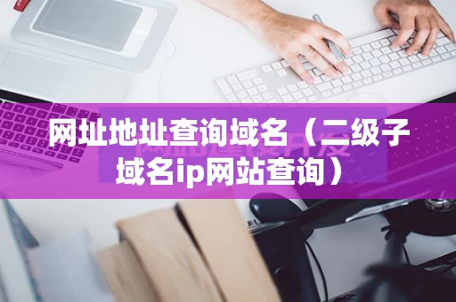 网址地址查询域名（二级子域名ip网站查询）