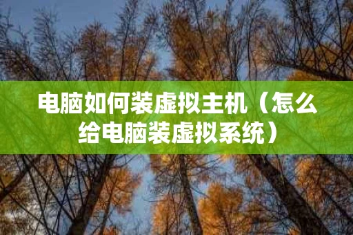 电脑如何装虚拟主机（怎么给电脑装虚拟系统）