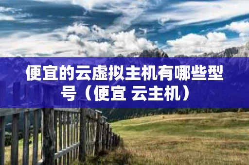 便宜的云虚拟主机有哪些型号（便宜 云主机）