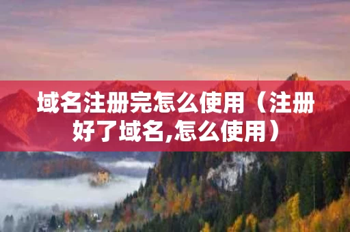 域名注册完怎么使用（注册好了域名,怎么使用）