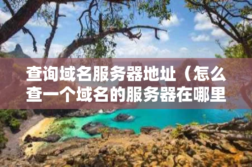 查询域名服务器地址（怎么查一个域名的服务器在哪里）