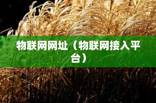物联网网址（物联网接入平台）