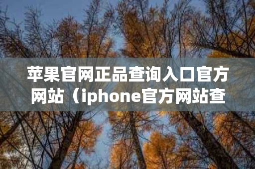 苹果官网正品查询入口官方网站（iphone官方网站查正品）