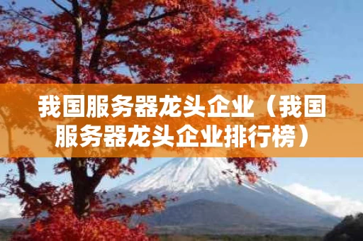 我国服务器龙头企业（我国服务器龙头企业排行榜）