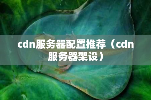 cdn服务器配置推荐（cdn服务器架设）