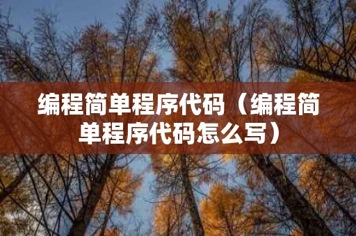 编程简单程序代码（编程简单程序代码怎么写）