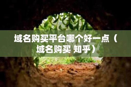 域名购买平台哪个好一点（域名购买 知乎）