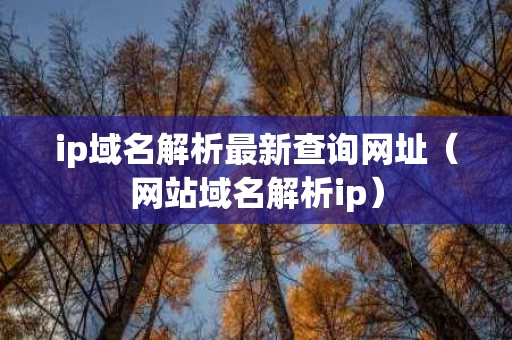 ip域名解析最新查询网址（网站域名解析ip）