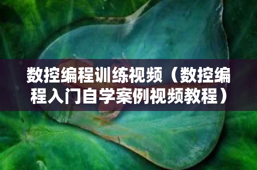 数控编程训练视频（数控编程入门自学案例视频教程）