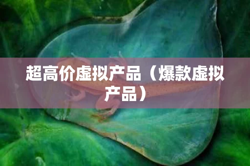 超高价虚拟产品（爆款虚拟产品）