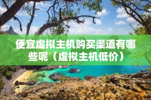 便宜虚拟主机购买渠道有哪些呢（虚拟主机低价）