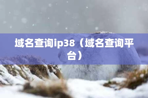 域名查询ip38（域名查询平台）