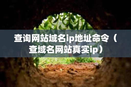 查询网站域名ip地址命令（查域名网站真实ip）
