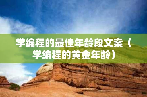 学编程的最佳年龄段文案（学编程的黄金年龄）
