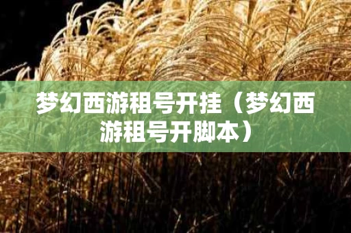 梦幻西游租号开挂（梦幻西游租号开脚本）