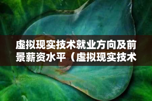 虚拟现实技术就业方向及前景薪资水平（虚拟现实技术应用就业方向及前景）