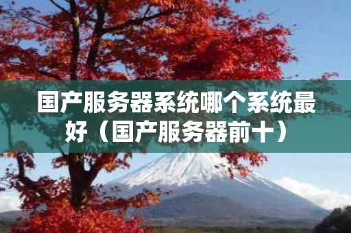 国产服务器系统哪个系统最好（国产服务器前十）