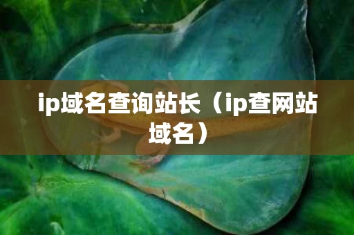 ip域名查询站长（ip查网站域名）