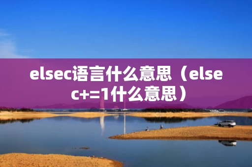 elsec语言什么意思（else c+=1什么意思）