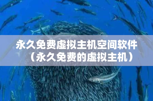 永久免费虚拟主机空间软件（永久免费的虚拟主机）