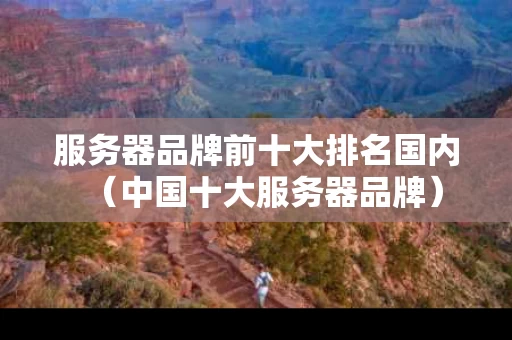 服务器品牌前十大排名国内（中国十大服务器品牌）
