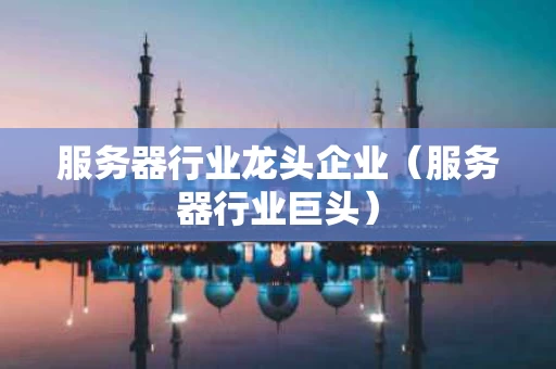 服务器行业龙头企业（服务器行业巨头）