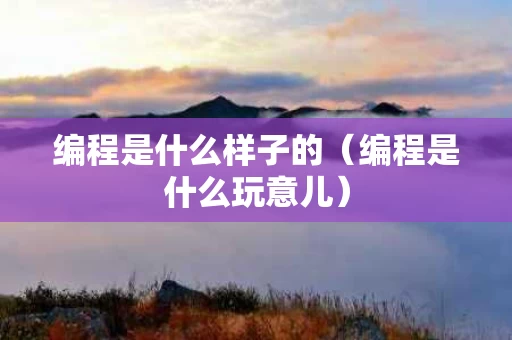 编程是什么样子的（编程是什么玩意儿）