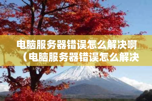 电脑服务器错误怎么解决啊（电脑服务器错误怎么解决啊视频）