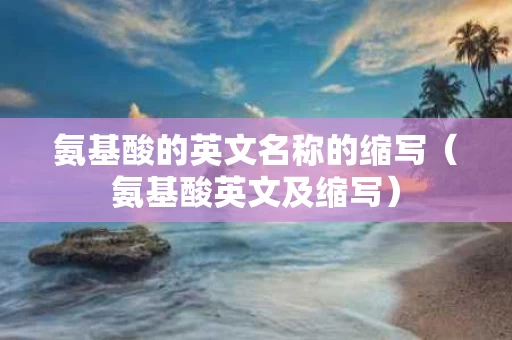 氨基酸的英文名称的缩写（氨基酸英文及缩写）