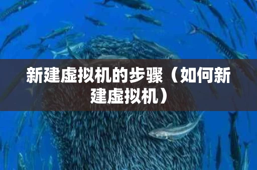 新建虚拟机的步骤（如何新建虚拟机）