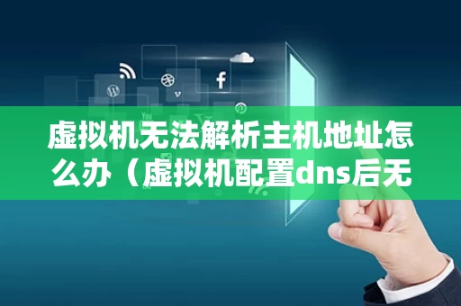 虚拟机无法解析主机地址怎么办（虚拟机配置dns后无法解析域名）