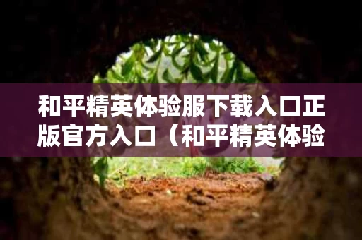 和平精英体验服下载入口正版官方入口（和平精英体验服下载入口正版官方入口29赛季）