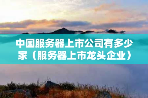 中国服务器上市公司有多少家（服务器上市龙头企业）