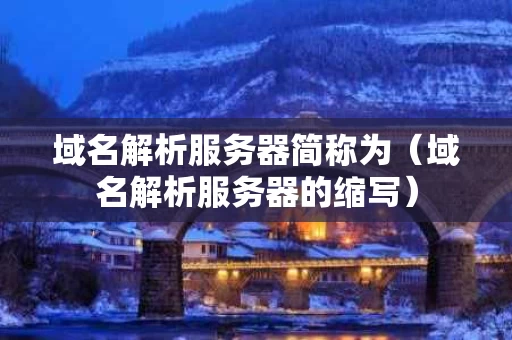 域名解析服务器简称为（域名解析服务器的缩写）