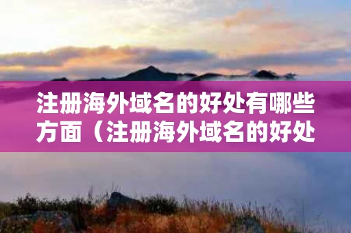 注册海外域名的好处有哪些方面（注册海外域名的好处有哪些方面呢）