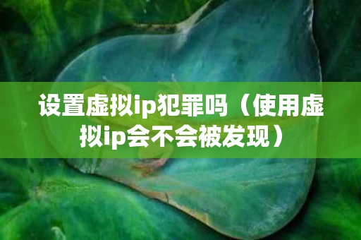 设置虚拟ip犯罪吗（使用虚拟ip会不会被发现）