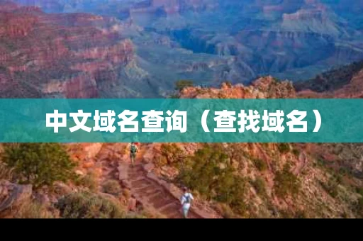 中文域名查询（查找域名）