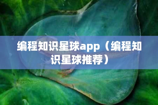 编程知识星球app（编程知识星球推荐）