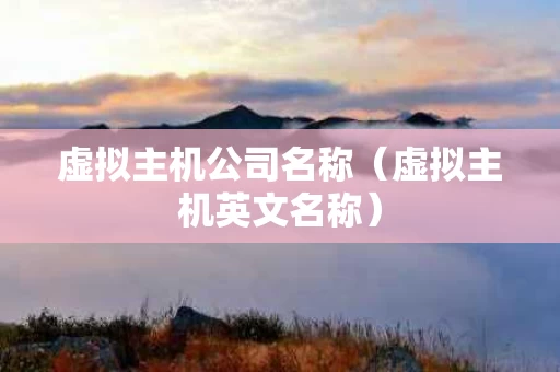 虚拟主机公司名称（虚拟主机英文名称）