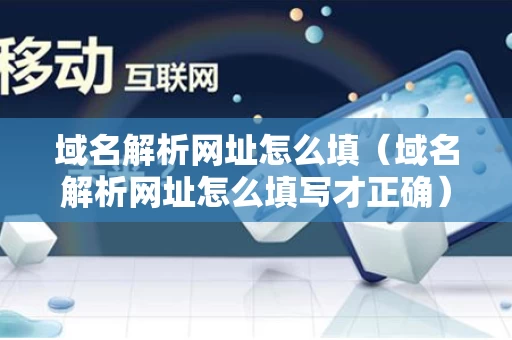 域名解析网址怎么填（域名解析网址怎么填写才正确）