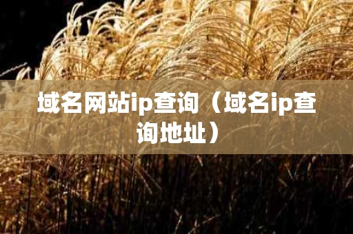 域名网站ip查询（域名ip查询地址）