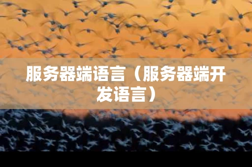 服务器端语言（服务器端开发语言）