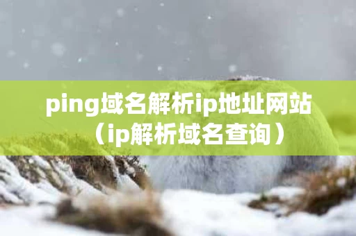 ping域名解析ip地址网站（ip解析域名查询）