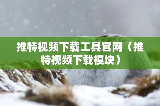 推特视频下载工具官网（推特视频下载模块）