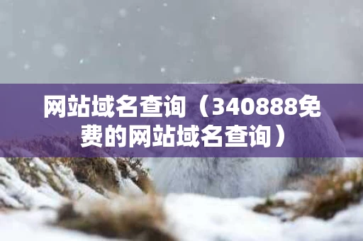 网站域名查询（340888免费的网站域名查询）