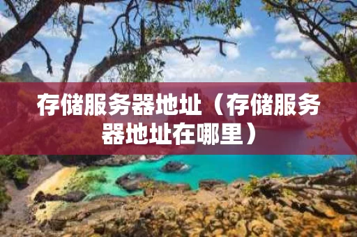 存储服务器地址（存储服务器地址在哪里）