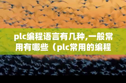 plc编程语言有几种,一般常用有哪些（plc常用的编程语言有几种）