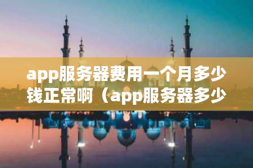 app服务器费用一个月多少钱正常啊（app服务器多少钱一台）