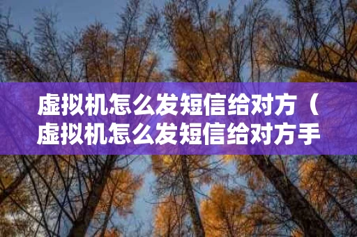 虚拟机怎么发短信给对方（虚拟机怎么发短信给对方手机）